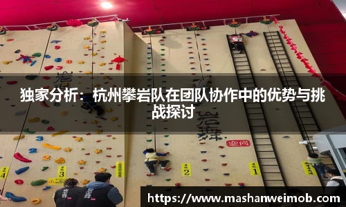 必博BIBOAPP