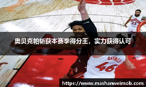 必博BIBO网址