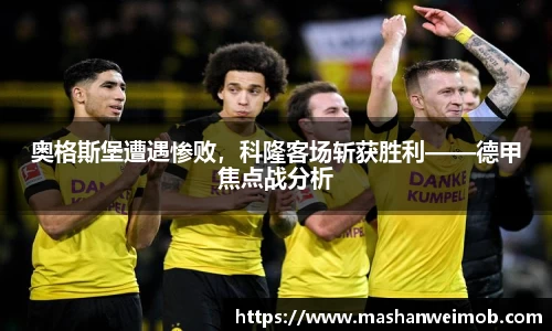 必博BIBO网址