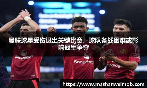 必博BIBO