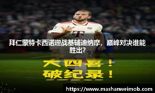 必博BIBO网址