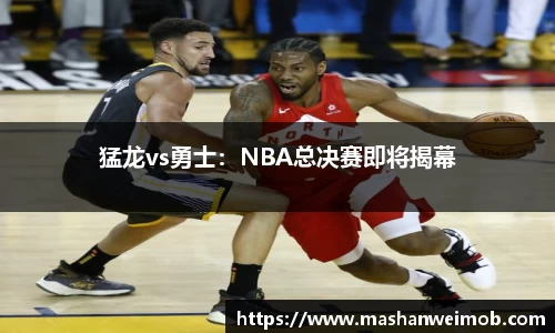 必博BIBO官网