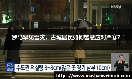 必博BIBO官网