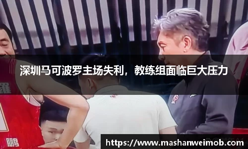 必博BIBO