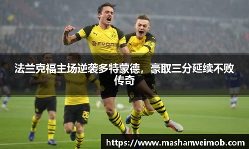 必博BIBO官网