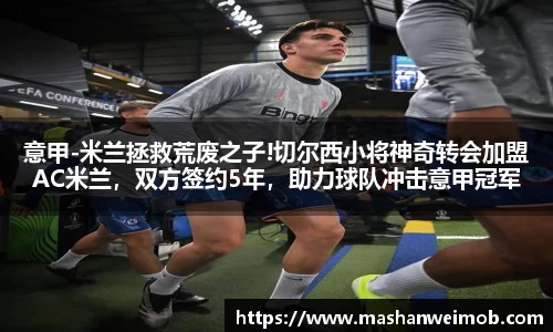 必博BIBO网址