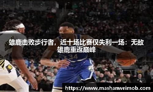 必博BIBO