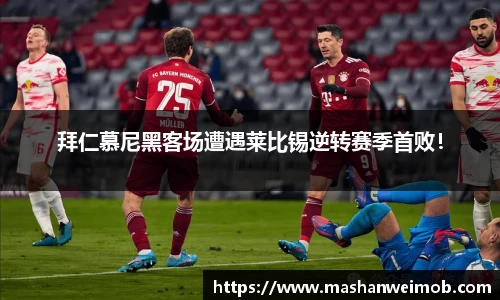 必博BIBO官网