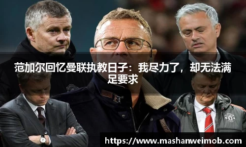 必博BIBOAPP