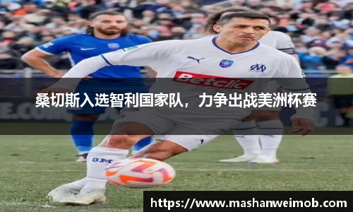 必博BIBO官网