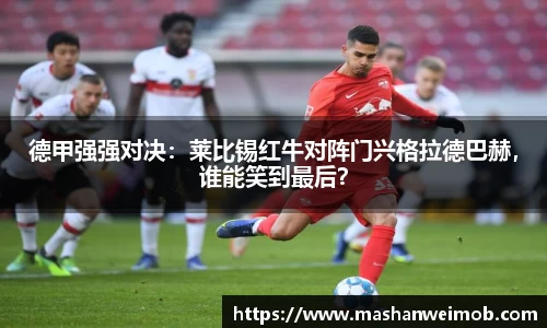 必博BIBO网址