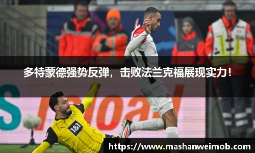 必博BIBO网址