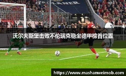 必博BIBO网址