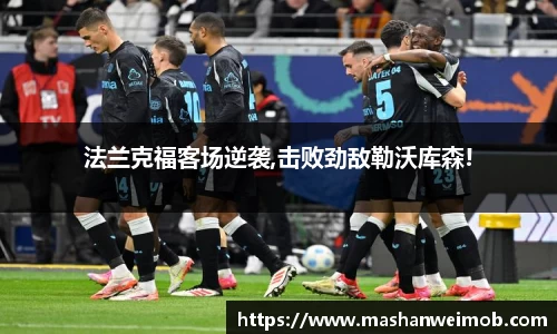 必博BIBO