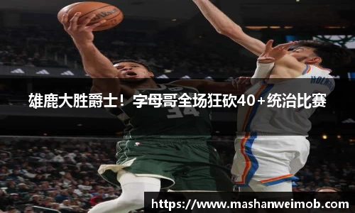 必博BIBO