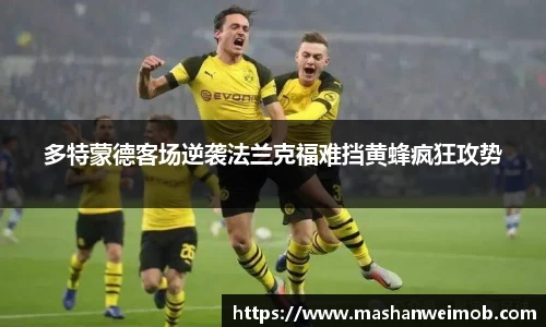 必博BIBO