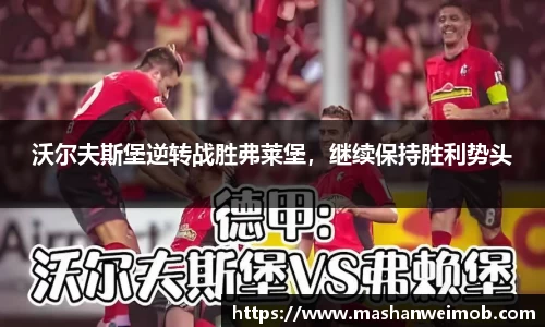 必博BIBO网址