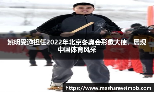 必博BIBO
