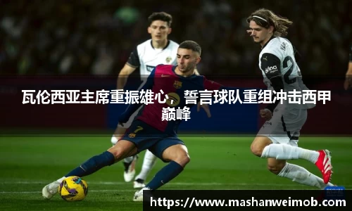 必博BIBO官网