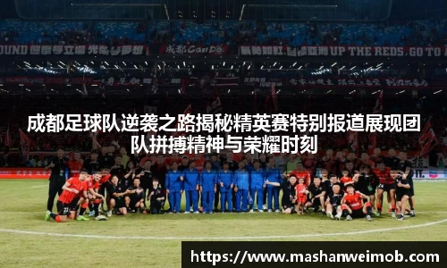 必博BIBO网址