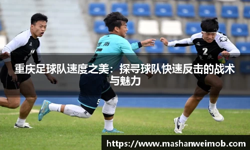 必博BIBO网址