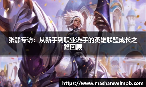 必博BIBO网址
