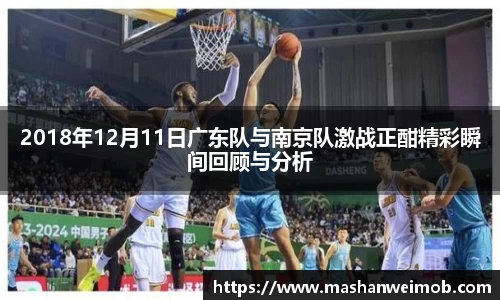 必博BIBO官网
