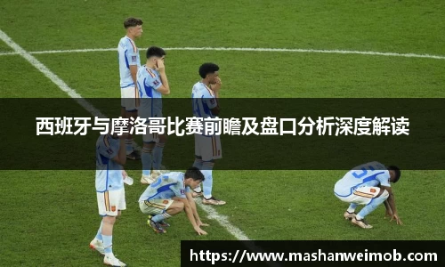 必博BIBOAPP