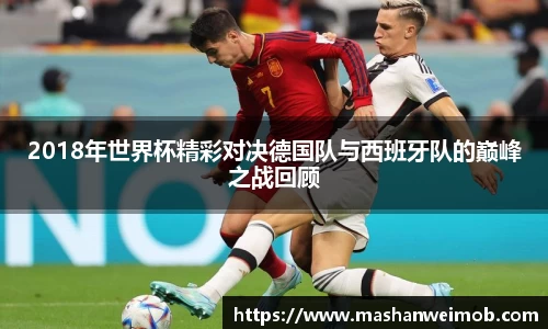 必博BIBO网址