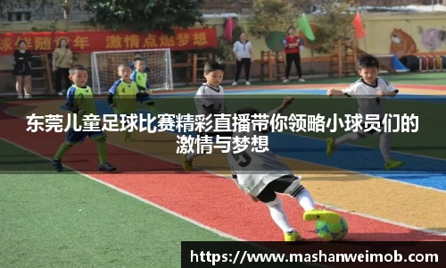 必博BIBO网址