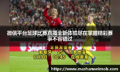 必博BIBO网址