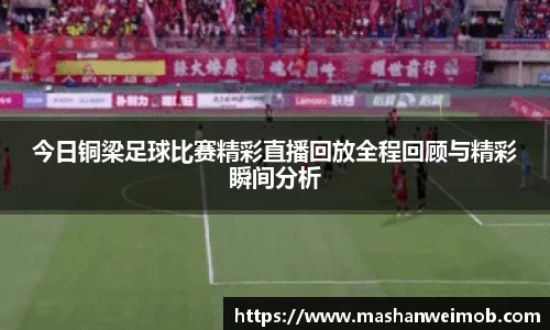 必博BIBO网址