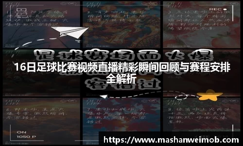 必博BIBO网址
