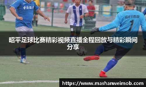 必博BIBO
