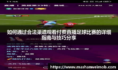 必博BIBO网址