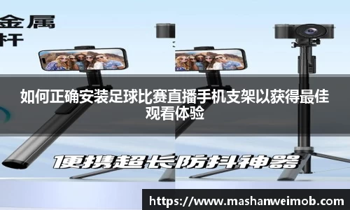 必博BIBO
