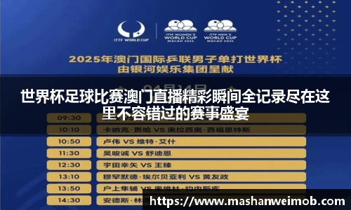 必博BIBO网址