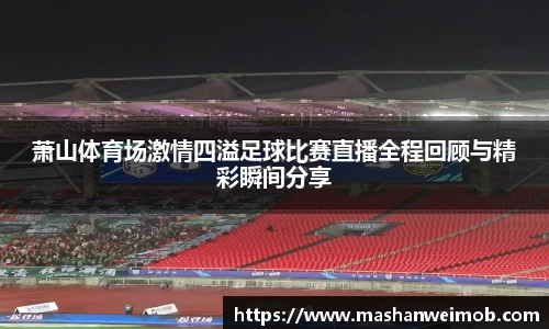 必博BIBO官网