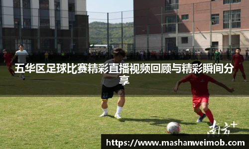 必博BIBO