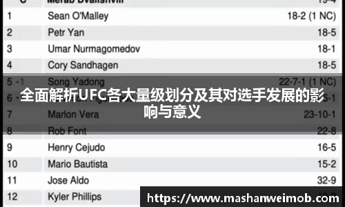 全面解析UFC各大量级划分及其对选手发展的影响与意义