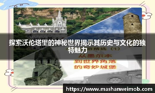探索沃伦塔里的神秘世界揭示其历史与文化的独特魅力