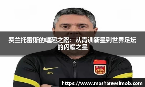 费兰托雷斯的崛起之路：从青训新星到世界足坛的闪耀之星